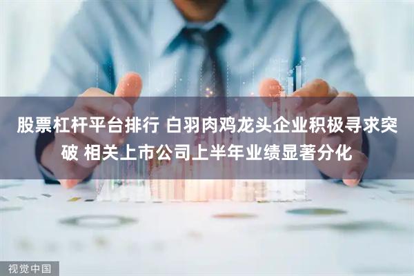 股票杠杆平台排行 白羽肉鸡龙头企业积极寻求突破 相关上市公司上半年业绩显著分化