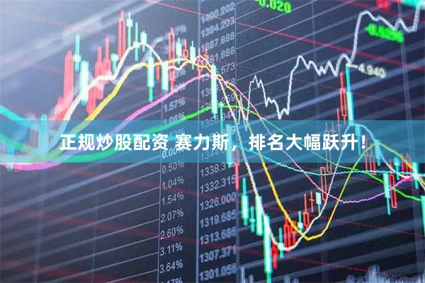 正规炒股配资 赛力斯，排名大幅跃升！